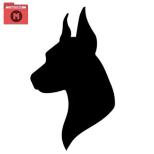 Dogg Vision OnlyFans Leaked 37GB